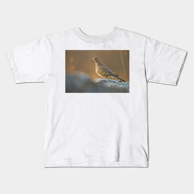 Mourning Dove On Rock Kids T-Shirt by jaydee1400